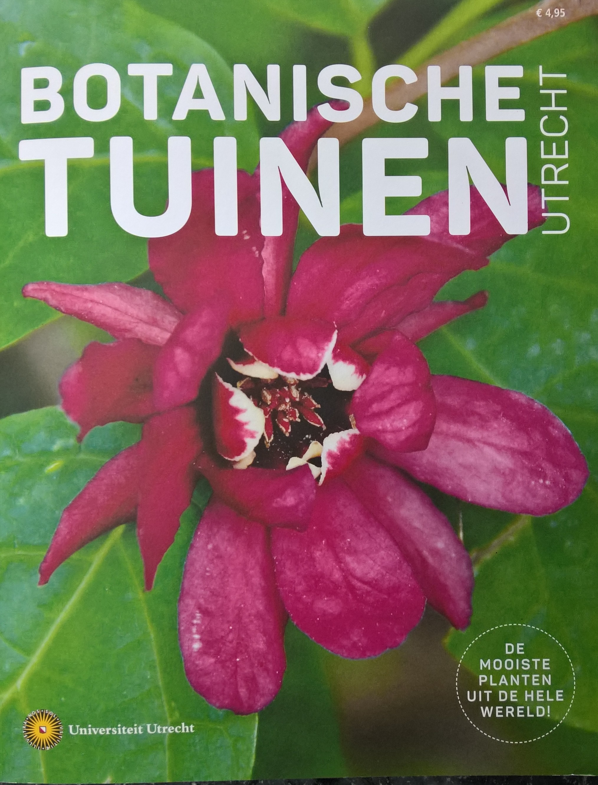 Artikel Botanische Tuinen Utrecht